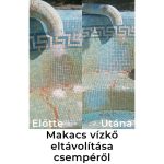 Brilliance ® ÖKO Vízkőoldó koncentrátum 1 l